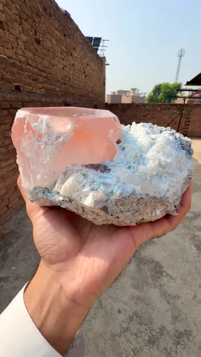 specimen video