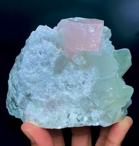 specimen video