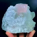 specimen video