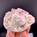 Morganite from Afghanistan - image 8