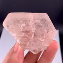 specimen video