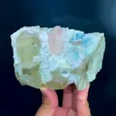 specimen video