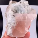 specimen video