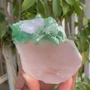 specimen video