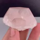 specimen video