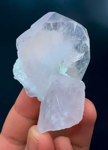 specimen video