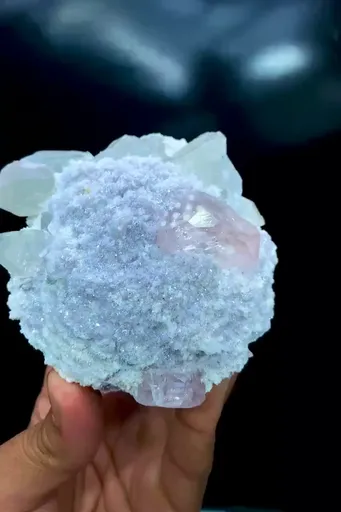 specimen video