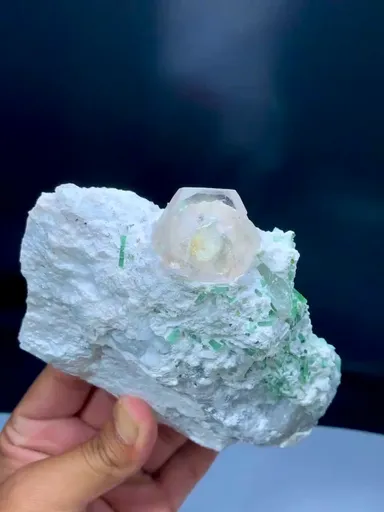 specimen video