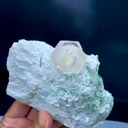 specimen video