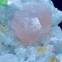 specimen video