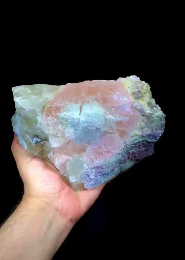 specimen video