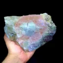 specimen video
