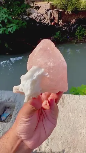 specimen video