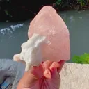 specimen video