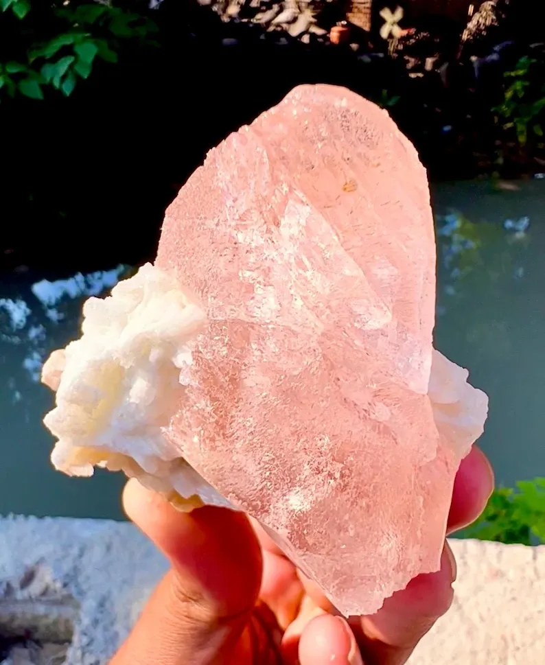 Morganite from Afghanistan - image 6