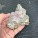 specimen video