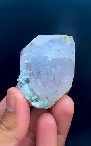 specimen video