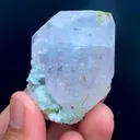specimen video