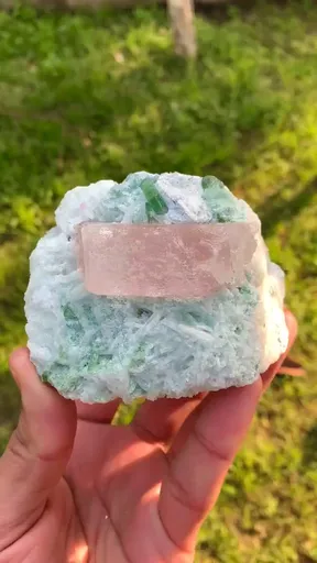 specimen video
