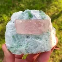 specimen video