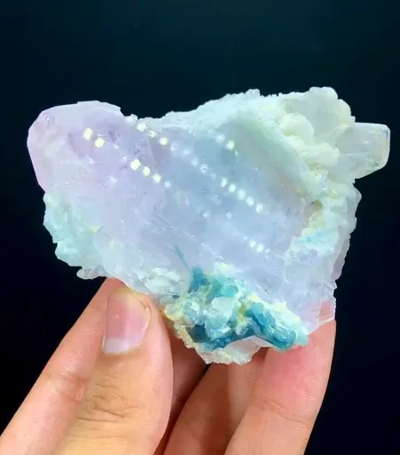 specimen video