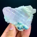 specimen video