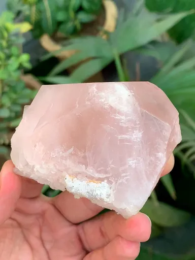 specimen video