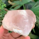 specimen video