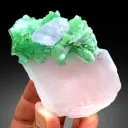 Morganite from Afghanistan - image 1