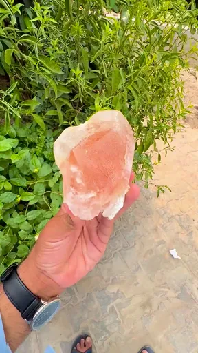specimen video