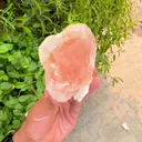 specimen video