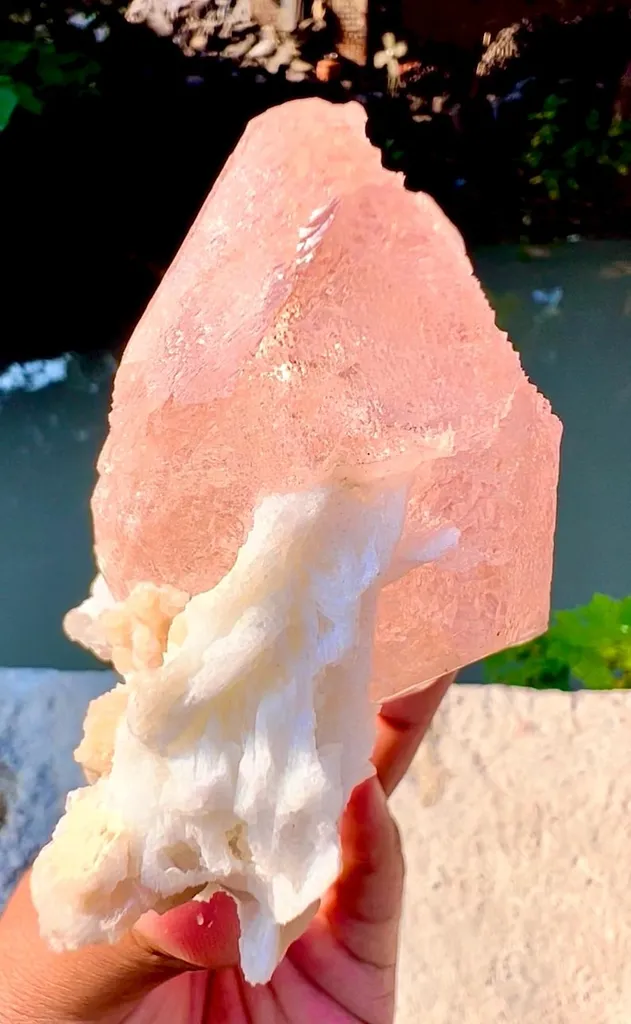 Morganite from Afghanistan - image 9
