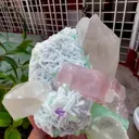 specimen video