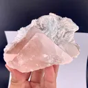 Morganite from Afghanistan - image 9
