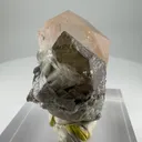 Morganite from Afghanistan - image 6