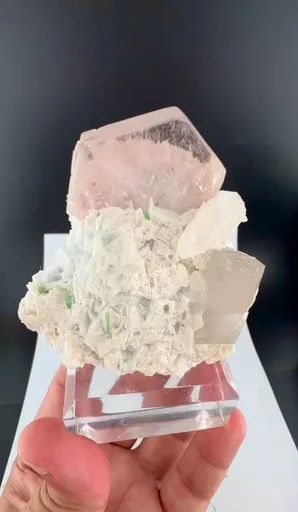 specimen video