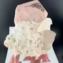 specimen video