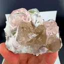 specimen video