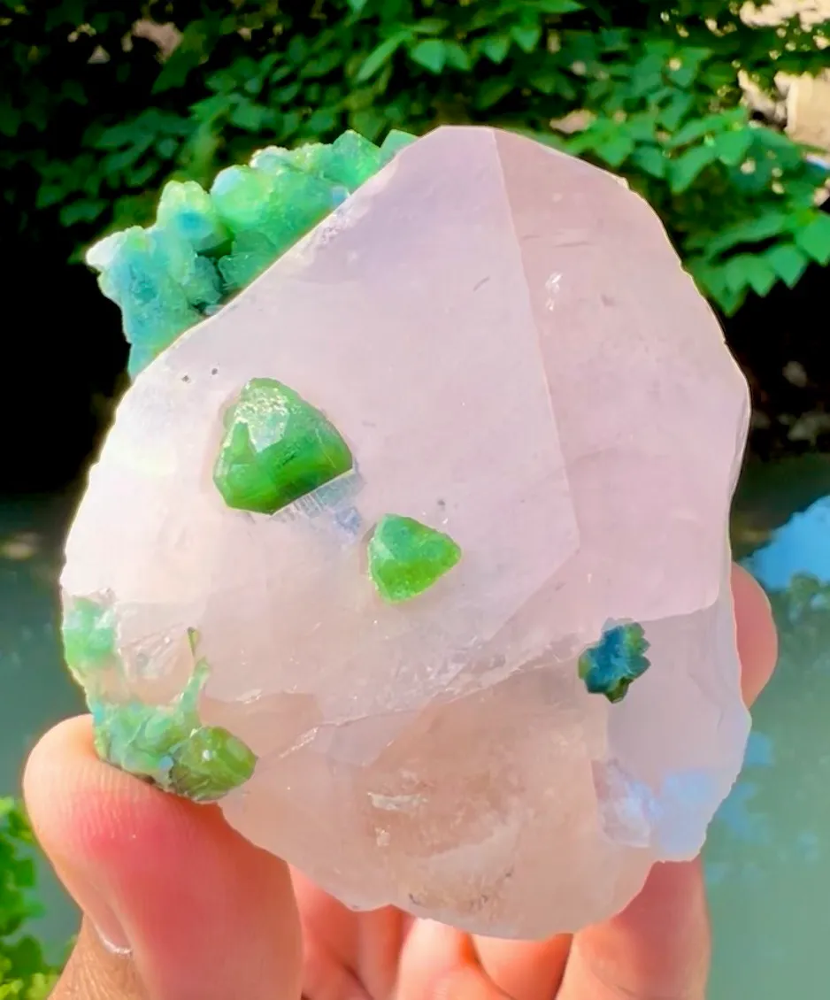 Morganite from Afghanistan, Kunar, Dara-e-Pech District, Dara-e-Pech pegmatite field - image 5