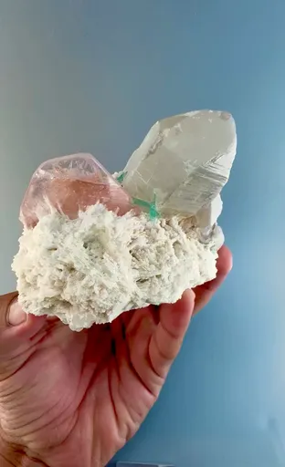specimen video