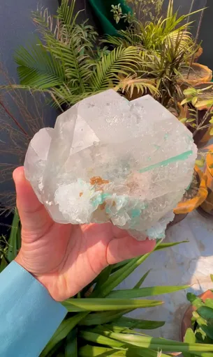 specimen video