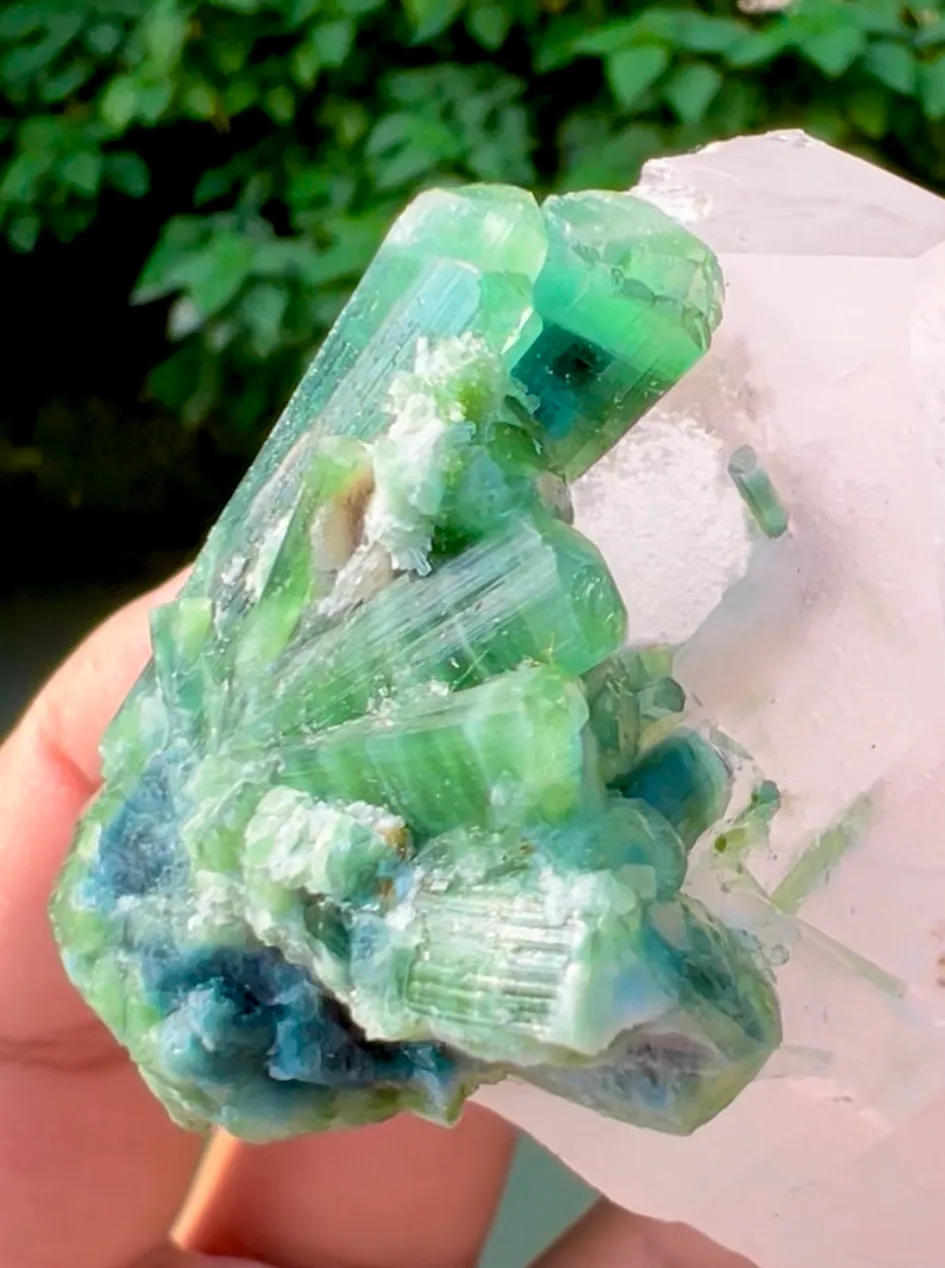 Morganite from Afghanistan, Kunar, Dara-e-Pech District, Dara-e-Pech pegmatite field - image 3