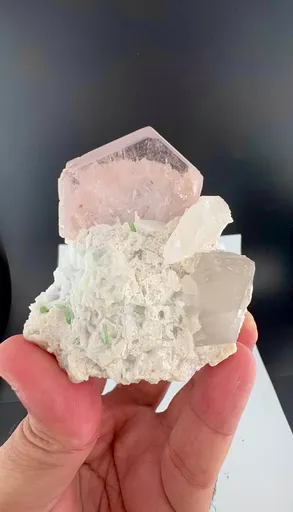 specimen video