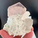 specimen video