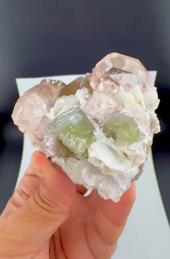 specimen video