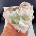 specimen video