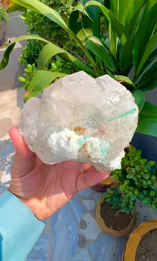 specimen video