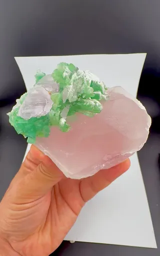 specimen video