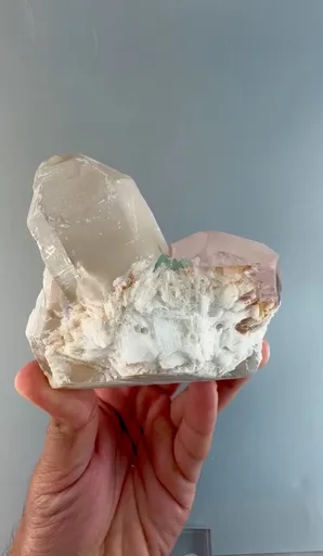 specimen video