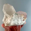 specimen video